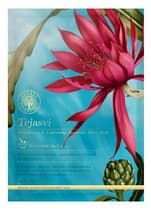 Осветляющая и подсвечивающая маска для лица Tejasvi "Forest Essentials"